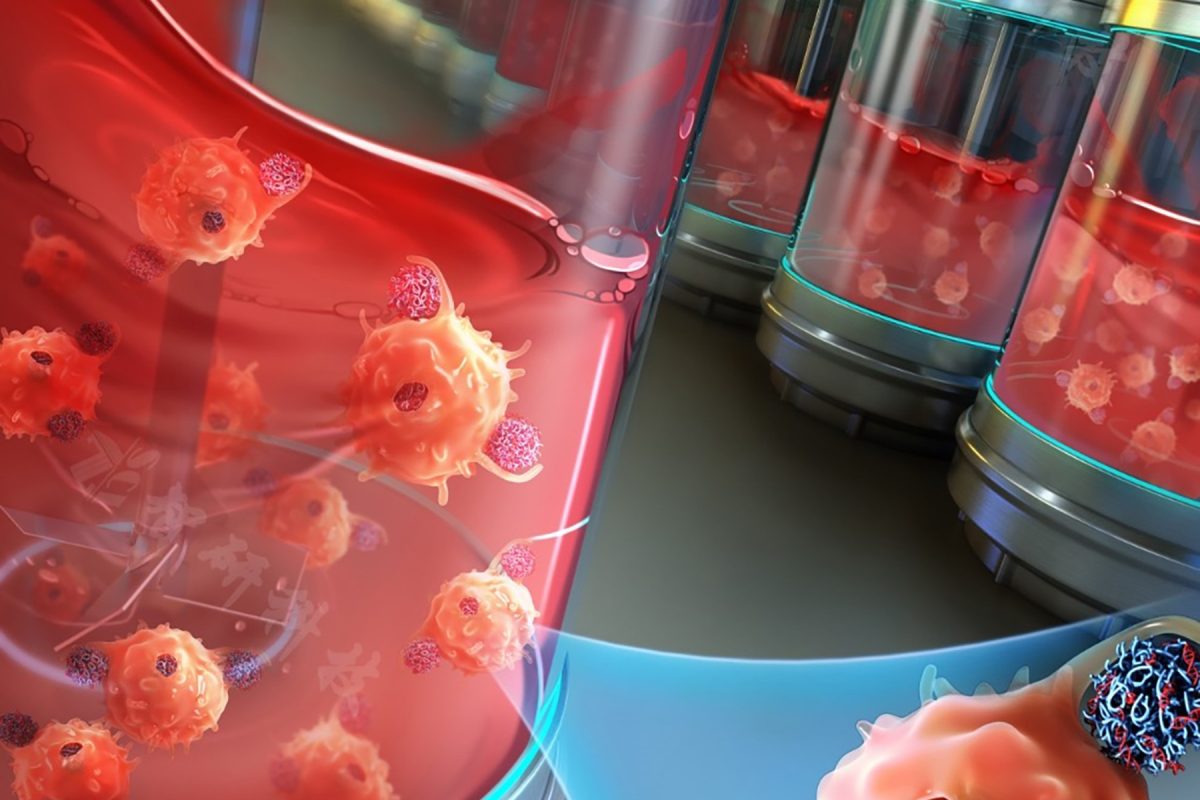 Tuning cell culture media viscosity to match that of biological fluids significantly enhances transfection efficiency